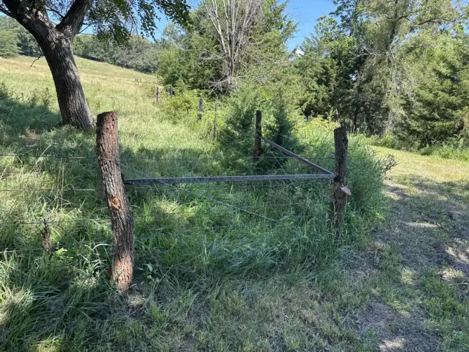 Fresh-cut Osage Orange hedge posts stacked at Williams Creek Farms