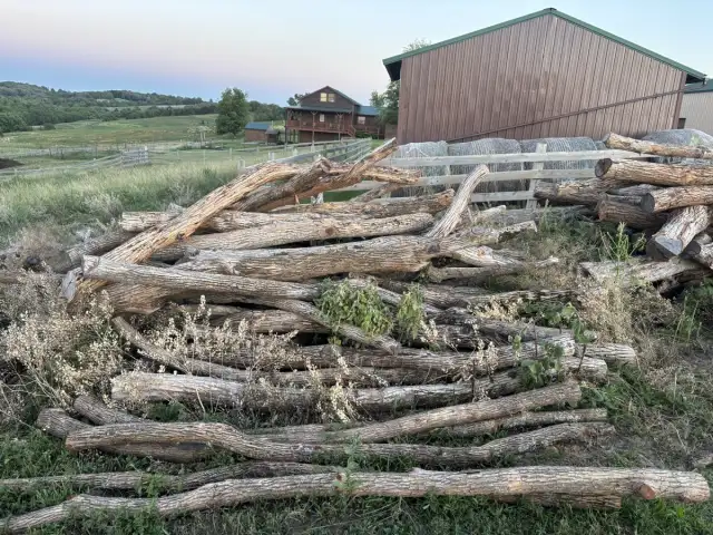 Last Year's Posts — Last year's posts, premium and standard, corners and lines, 9ft long, all $10 each OBO