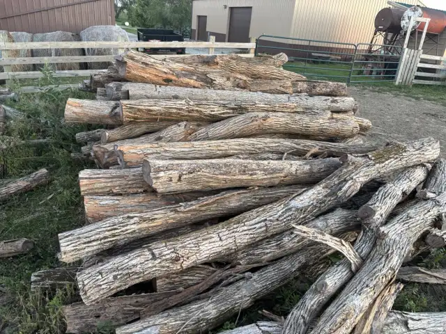 Last Year's Posts — Last year's posts, premium and standard, corners and lines, 9ft long, all $10 each OBO