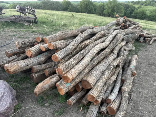 Premium Line Posts — 3-6" diameter, relatively straight, 9ft long