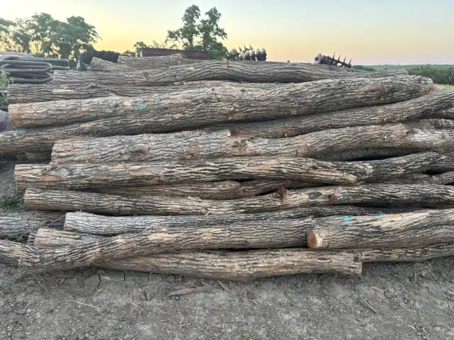 Premium Line Posts — 3-6" diameter, relatively straight, 9ft long