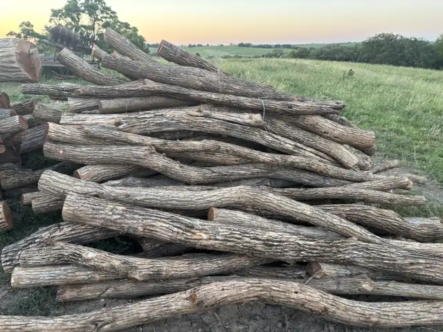 Regular Line Posts — 3-6" diameter, curvy, smaller or cut last year, 9ft long